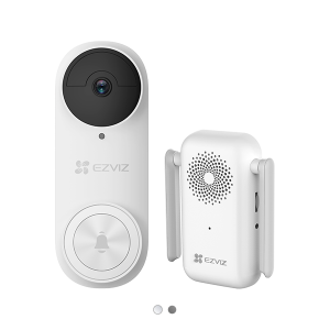 DP2 Pro